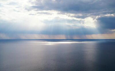 NO VIVAS DE CRISIS, VIVE CON PROPÓSITO