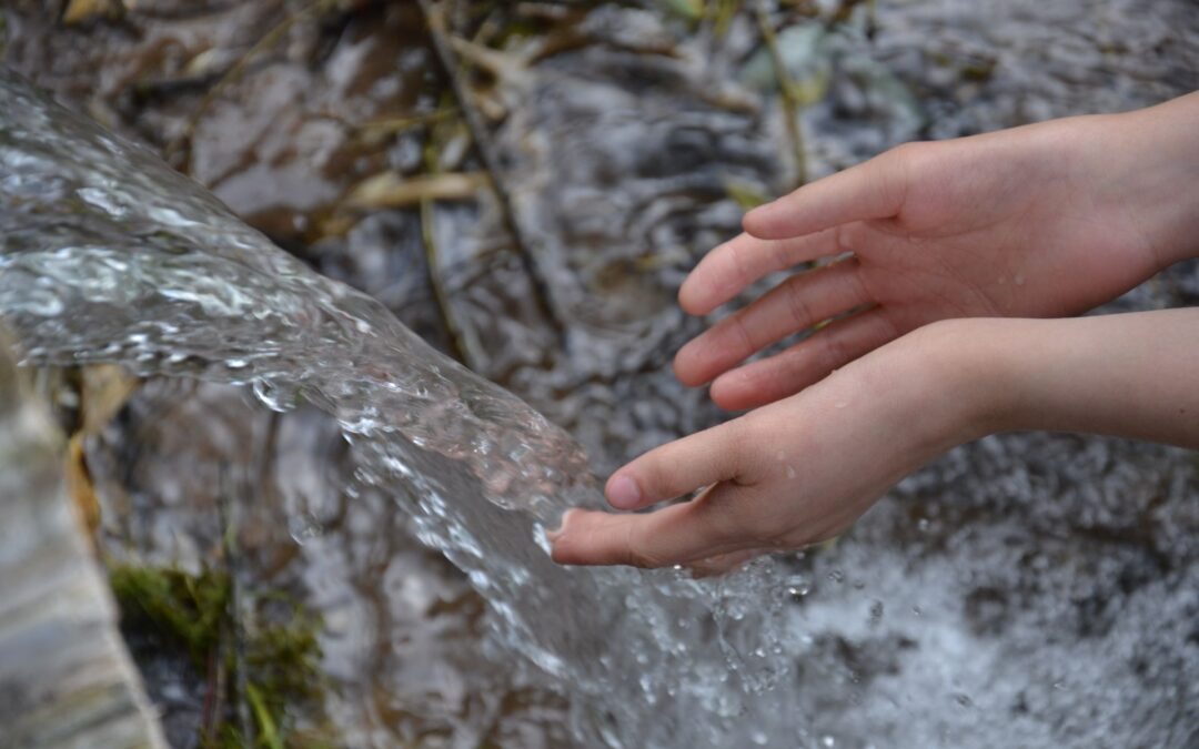 THE LIVING WATER THAT SATISFIES THE SOUL