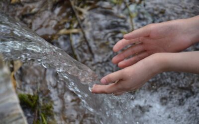 EL AGUA VIVA QUE SATISFACE EL ALMA